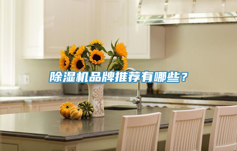 小黄片软件免费下载品牌推薦有哪些？