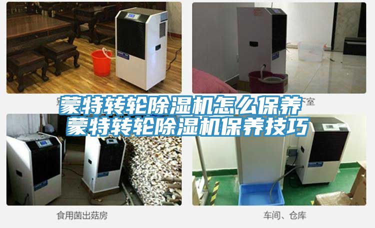 蒙特轉輪小黄片软件免费下载怎麽保養 蒙特轉輪小黄片软件免费下载保養技巧