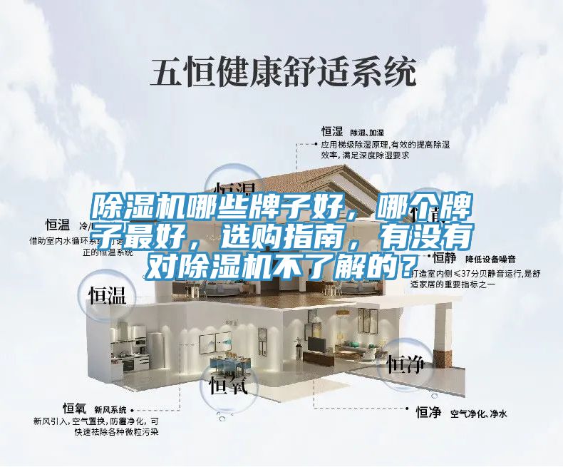 小黄片软件免费下载哪些牌子好，哪個牌子最好，選購指南，有沒有對小黄片软件免费下载不了解的？