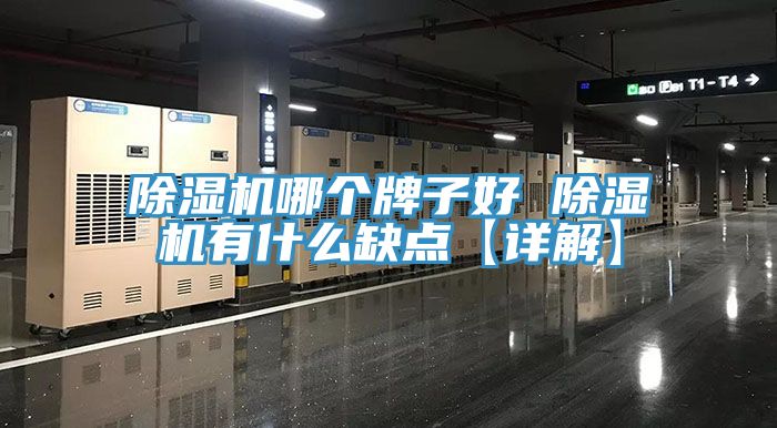 小黄片软件免费下载哪個牌子好 小黄片软件免费下载有什麽缺點【詳解】