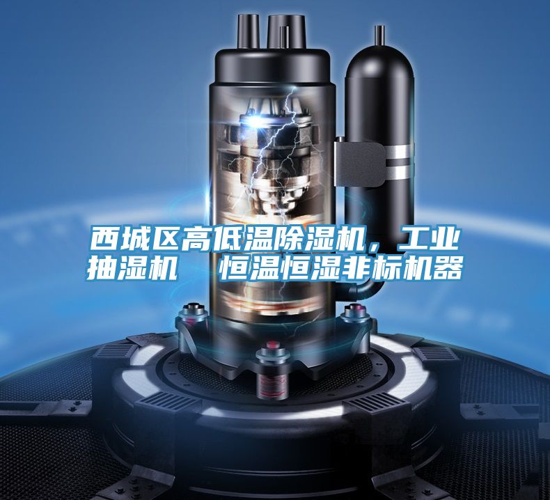 西城區高低溫小黄片软件免费下载，工業抽濕機  恒溫恒濕非標機器