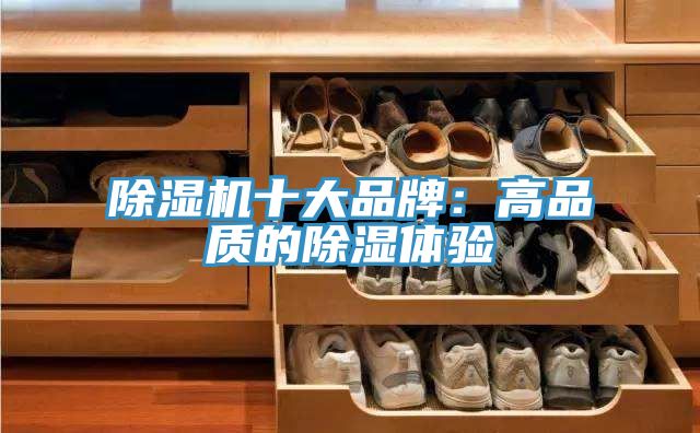 小黄片软件免费下载十大品牌：高品質的除濕體驗