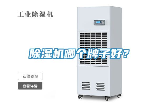 小黄片软件免费下载哪個牌子好？