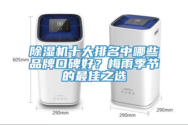小黄片软件免费下载十大排名中哪些品牌口碑好？梅雨季節的最佳之選