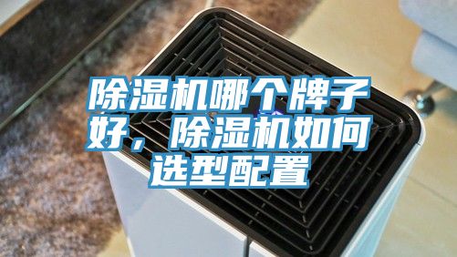 小黄片软件免费下载哪個牌子好，小黄片软件免费下载如何選型配置