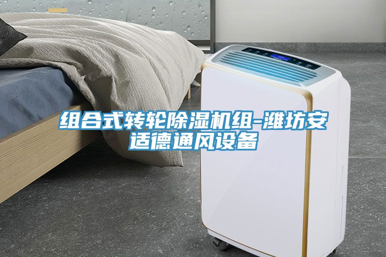 組合式轉輪小黄片软件免费下载組-濰坊安適德通風設備