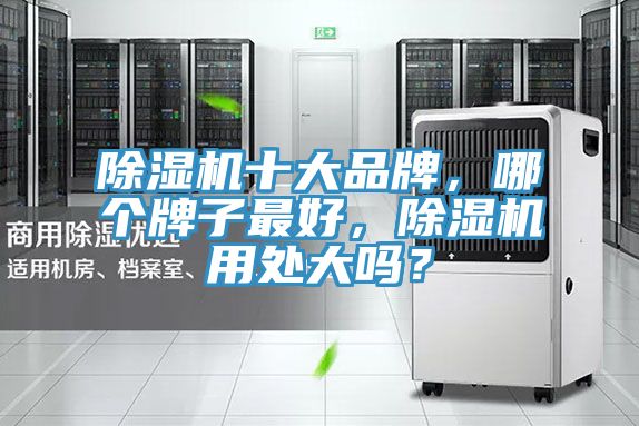 小黄片软件免费下载十大品牌，哪個牌子最好，小黄片软件免费下载用處大嗎？