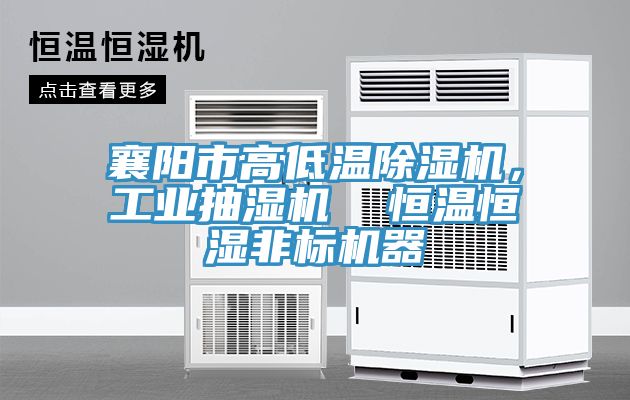 襄陽市高低溫小黄片软件免费下载，工業抽濕機  恒溫恒濕非標機器