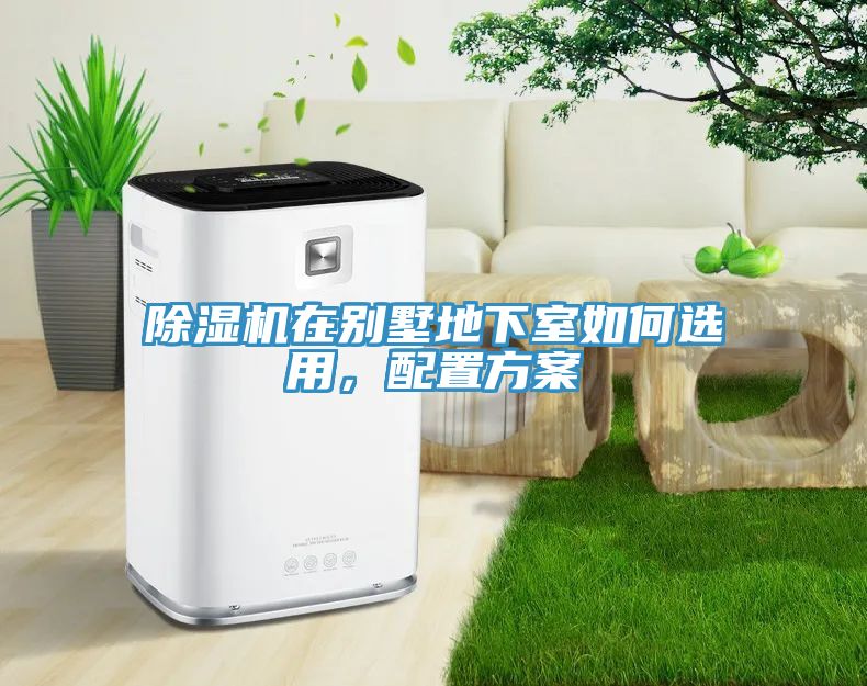 小黄片软件免费下载在別墅地下室如何選用，配置方案