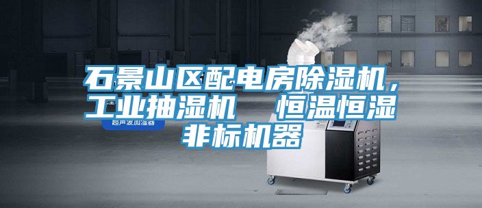 石景山區配電房小黄片软件免费下载，工業抽濕機  恒溫恒濕非標機器