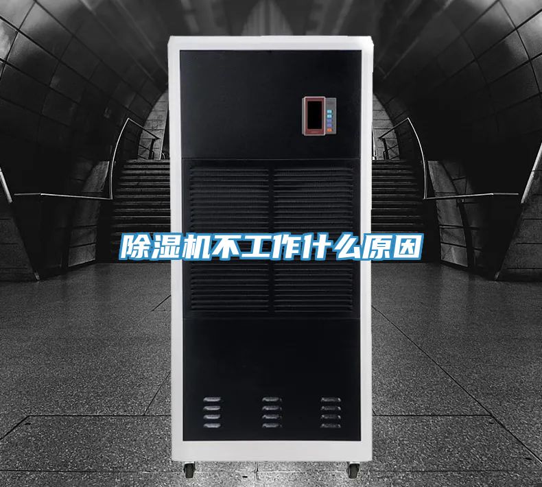 小黄片软件免费下载不工作什麽原因