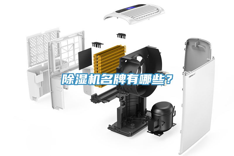 小黄片软件免费下载名牌有哪些？