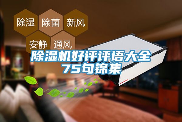 小黄片软件免费下载好評評語大全75句錦集