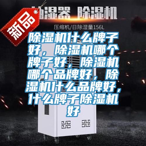小黄片软件免费下载什麽牌子好，小黄片软件免费下载哪個牌子好，小黄片软件免费下载哪個品牌好，小黄片软件免费下载什麽品牌好，什麽牌子小黄片软件免费下载好