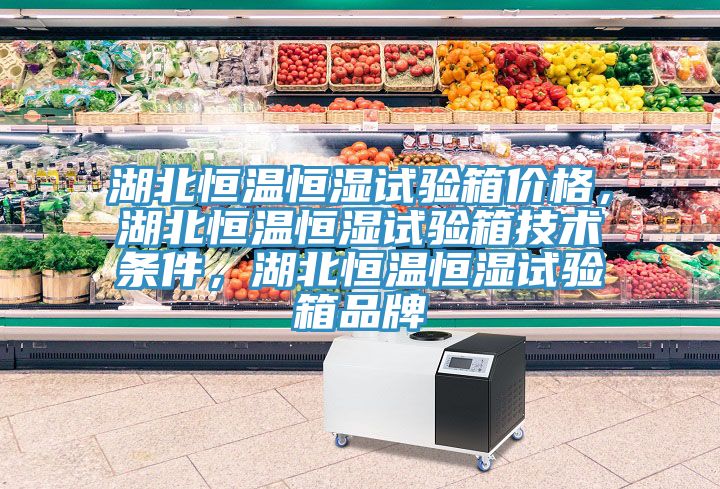 湖北恒溫恒濕試驗箱價格，湖北恒溫恒濕試驗箱技術條件，湖北恒溫恒濕試驗箱品牌