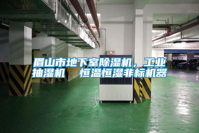 眉山市地下室小黄片软件免费下载，工業抽濕機  恒溫恒濕非標機器