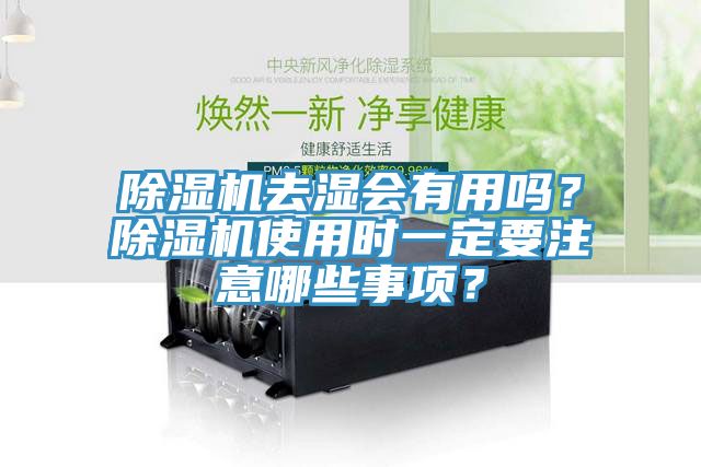 小黄片软件免费下载去濕會有用嗎？小黄片软件免费下载使用時一定要注意哪些事項？