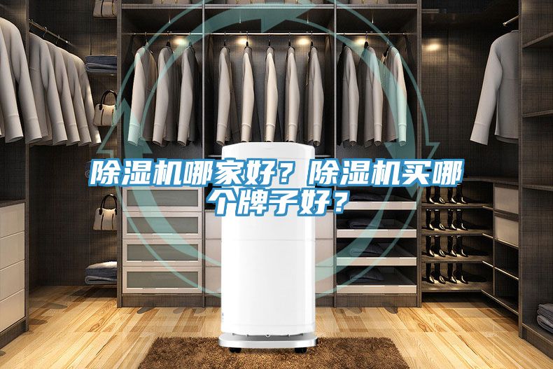 小黄片软件免费下载哪家好？小黄片软件免费下载買哪個牌子好？