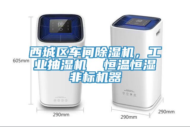 西城區車間小黄片软件免费下载，工業抽濕機  恒溫恒濕非標機器