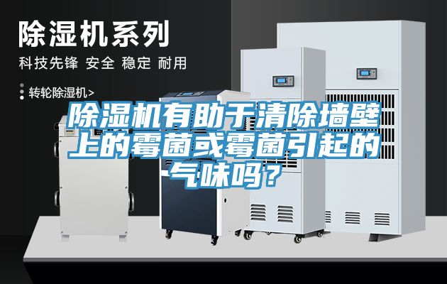 小黄片软件免费下载有助於清除牆壁上的黴菌或黴菌引起的氣味嗎？
