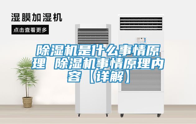 小黄片软件免费下载是什麽事情原理 小黄片软件免费下载事情原理內容【詳解】