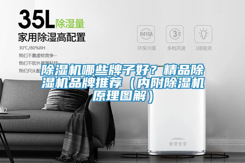 小黄片软件免费下载哪些牌子好？精品小黄片软件免费下载品牌推薦（內附小黄片软件免费下载原理圖解）