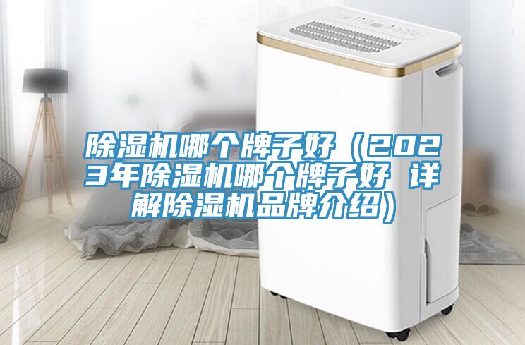 小黄片软件免费下载哪個牌子好（2023年小黄片软件免费下载哪個牌子好 詳解小黄片软件免费下载品牌介紹）