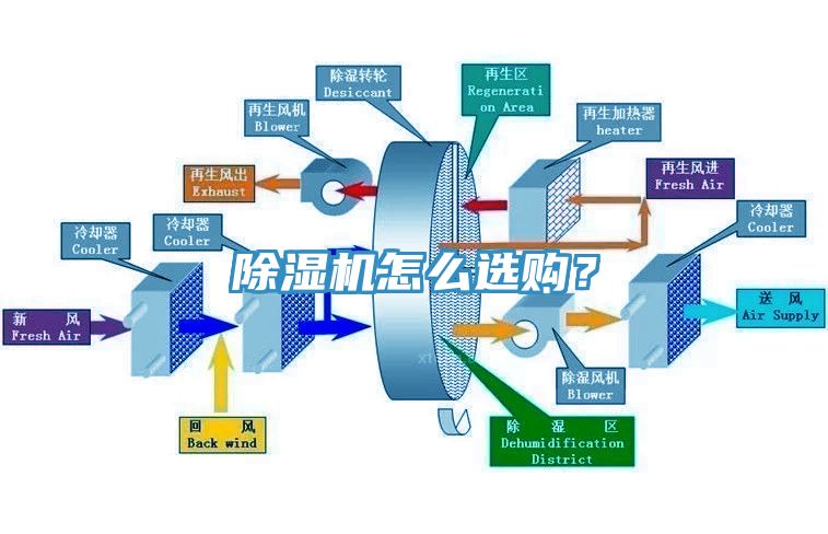 小黄片软件免费下载怎麽選購？