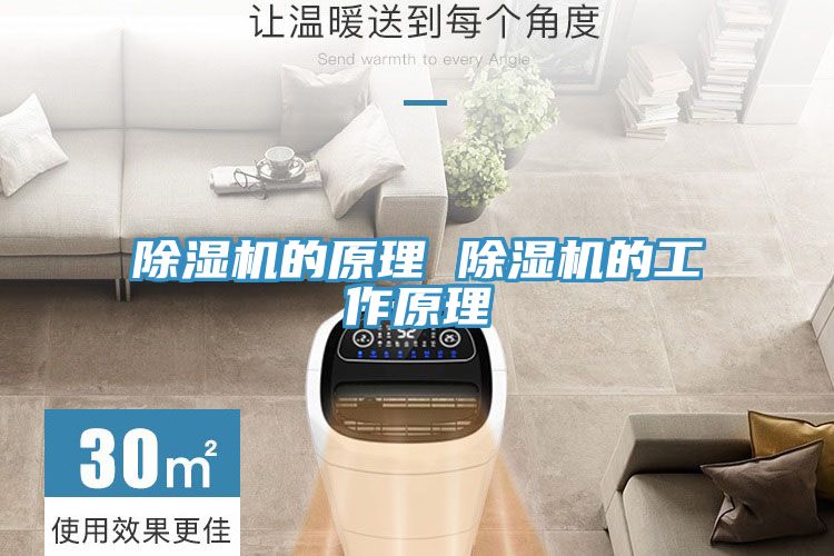 小黄片软件免费下载的原理 小黄片软件免费下载的工作原理