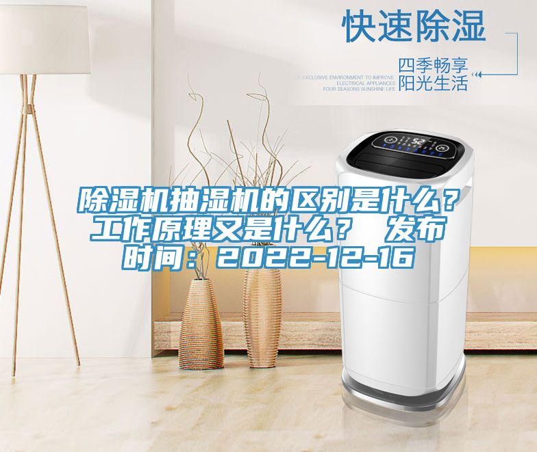 小黄片软件免费下载抽濕機的區別是什麽？工作原理又是什麽？ 發布時間：2022-12-16