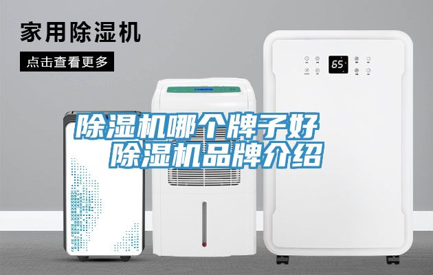 小黄片软件免费下载哪個牌子好  小黄片软件免费下载品牌介紹