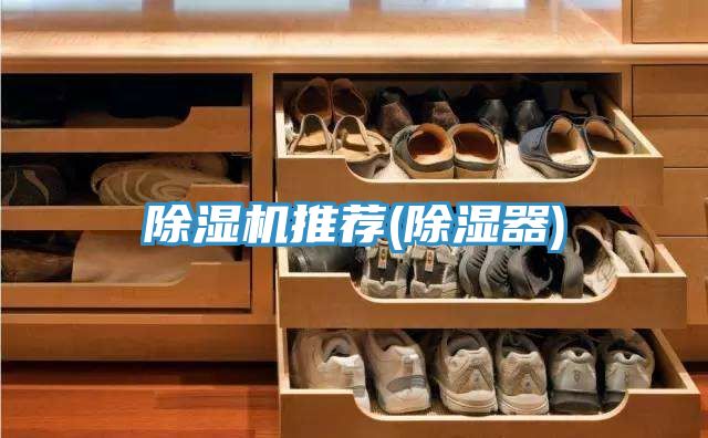小黄片软件免费下载推薦(除濕器)