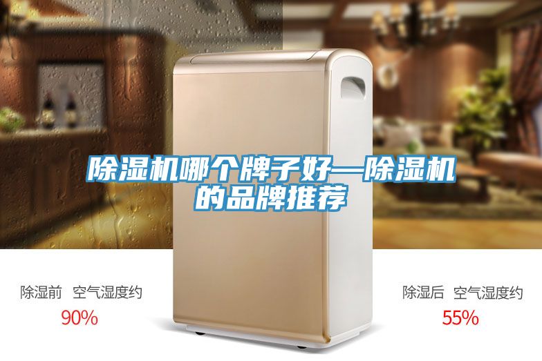 小黄片软件免费下载哪個牌子好—小黄片软件免费下载的品牌推薦