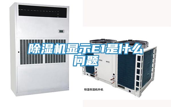 小黄片软件免费下载顯示E1是什麽問題