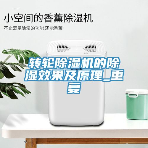 轉輪小黄片软件免费下载的除濕效果及原理_重複