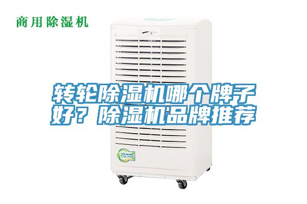 轉輪小黄片软件免费下载哪個牌子好？小黄片软件免费下载品牌推薦