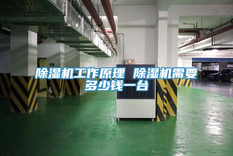 小黄片软件免费下载工作原理 小黄片软件免费下载需要多少錢一台