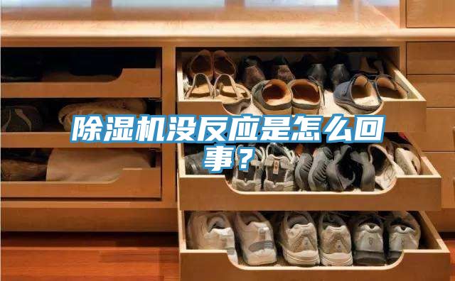 小黄片软件免费下载沒反應是怎麽回事？