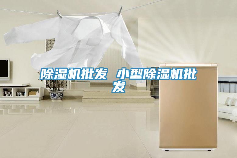 小黄片软件免费下载批發 小型小黄片软件免费下载批發