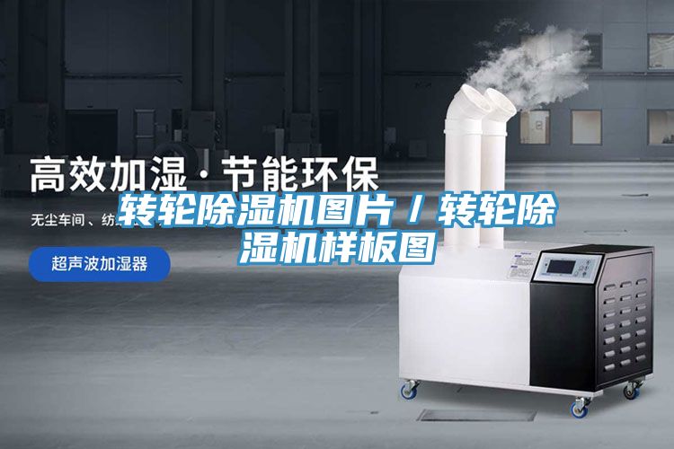 轉輪小黄片软件免费下载圖片／轉輪小黄片软件免费下载樣板圖