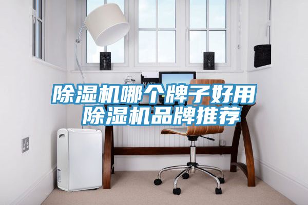 小黄片软件免费下载哪個牌子好用 小黄片软件免费下载品牌推薦