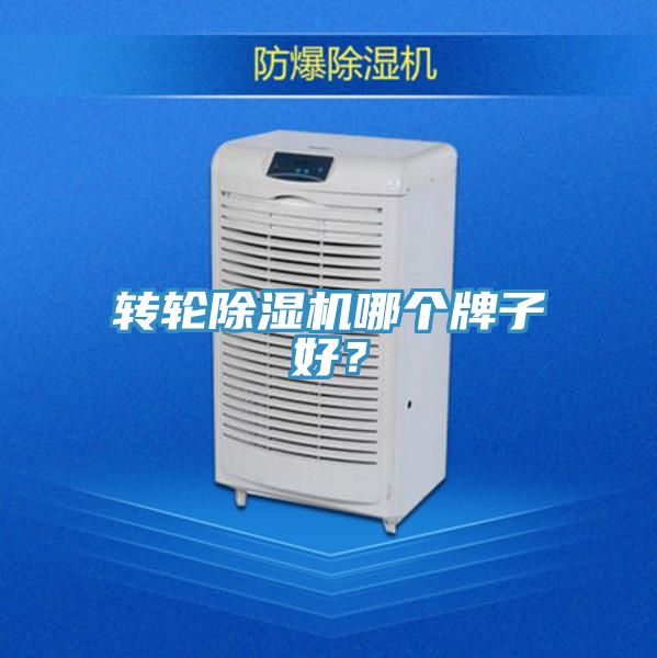 轉輪小黄片软件免费下载哪個牌子好？