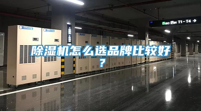 小黄片软件免费下载怎麽選品牌比較好？