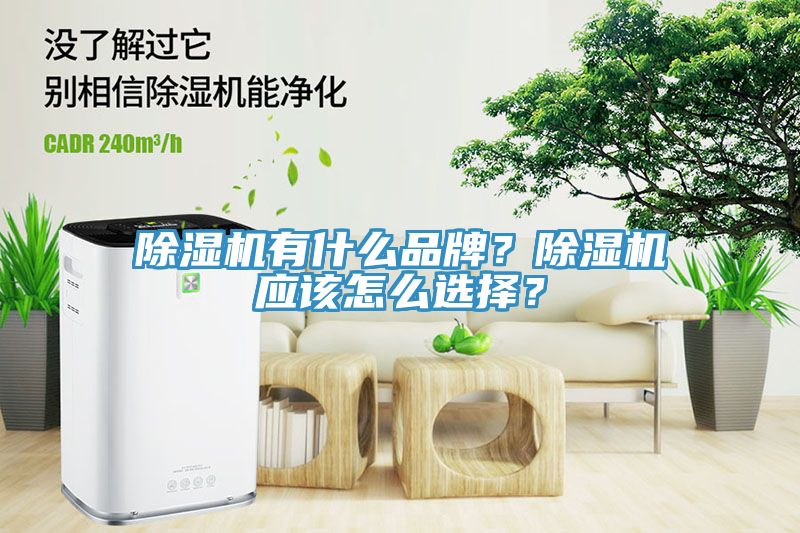 小黄片软件免费下载有什麽品牌？小黄片软件免费下载應該怎麽選擇？
