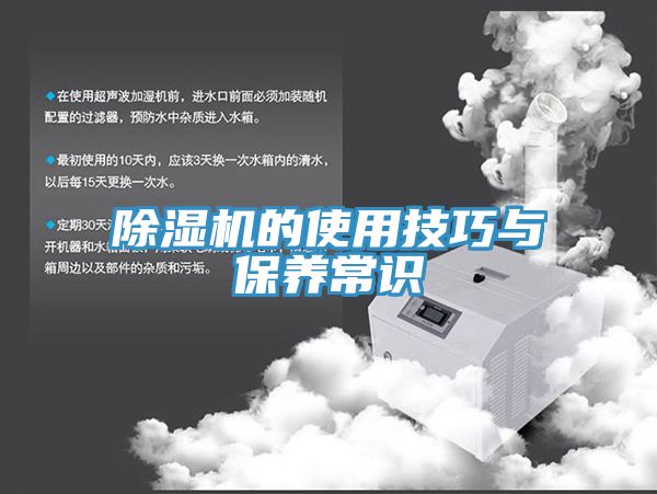小黄片软件免费下载的使用技巧與保養常識