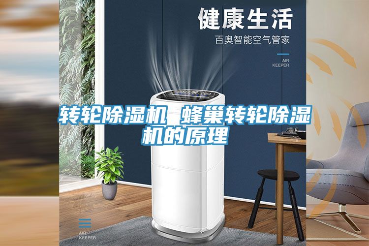 轉輪小黄片软件免费下载 蜂巢轉輪小黄片软件免费下载的原理