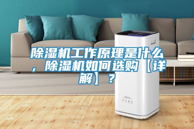 小黄片软件免费下载工作原理是什麽，小黄片软件免费下载如何選購【詳解】？
