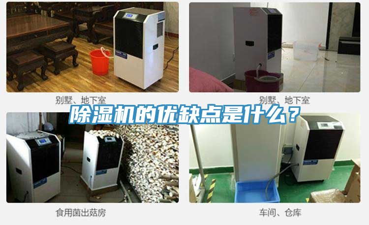 小黄片软件免费下载的優缺點是什麽？