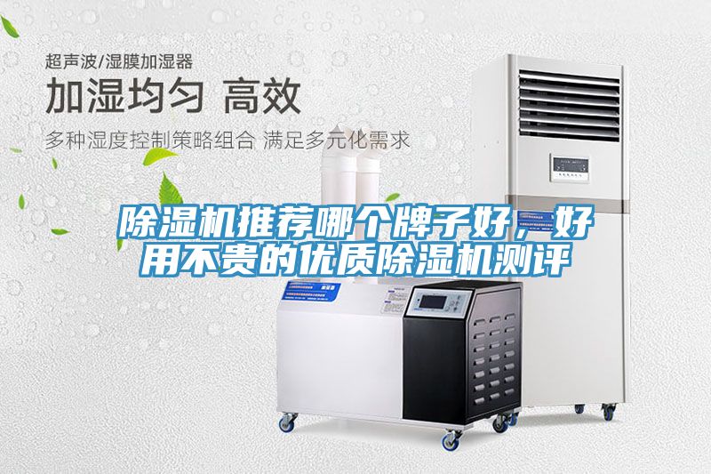 小黄片软件免费下载推薦哪個牌子好，好用不貴的優質小黄片软件免费下载測評