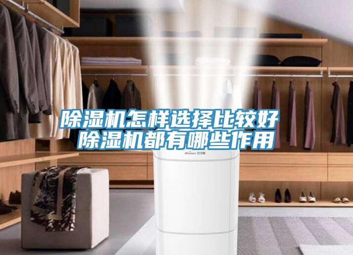 小黄片软件免费下载怎樣選擇比較好 小黄片软件免费下载都有哪些作用